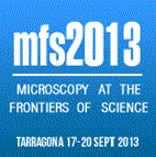 MFS2013 logo